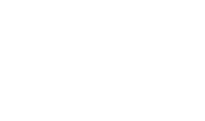 logo-wsvdehoven